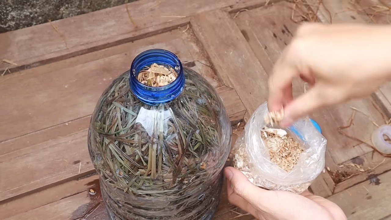 Pilzzucht mit Plastikflaschen