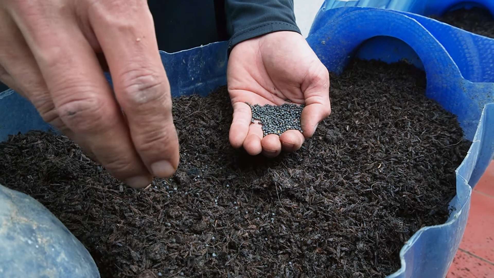 Kohl Growing Yields erhöhen