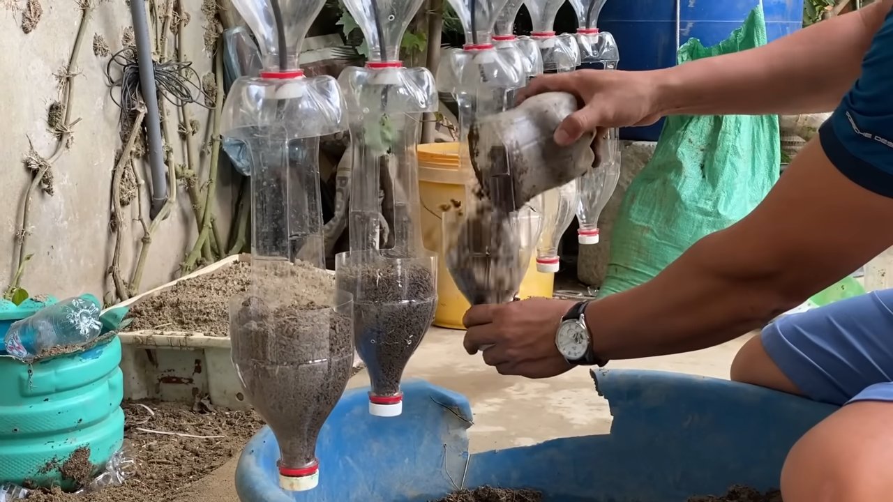 Erdbeeren pflanzen Plastikflaschen