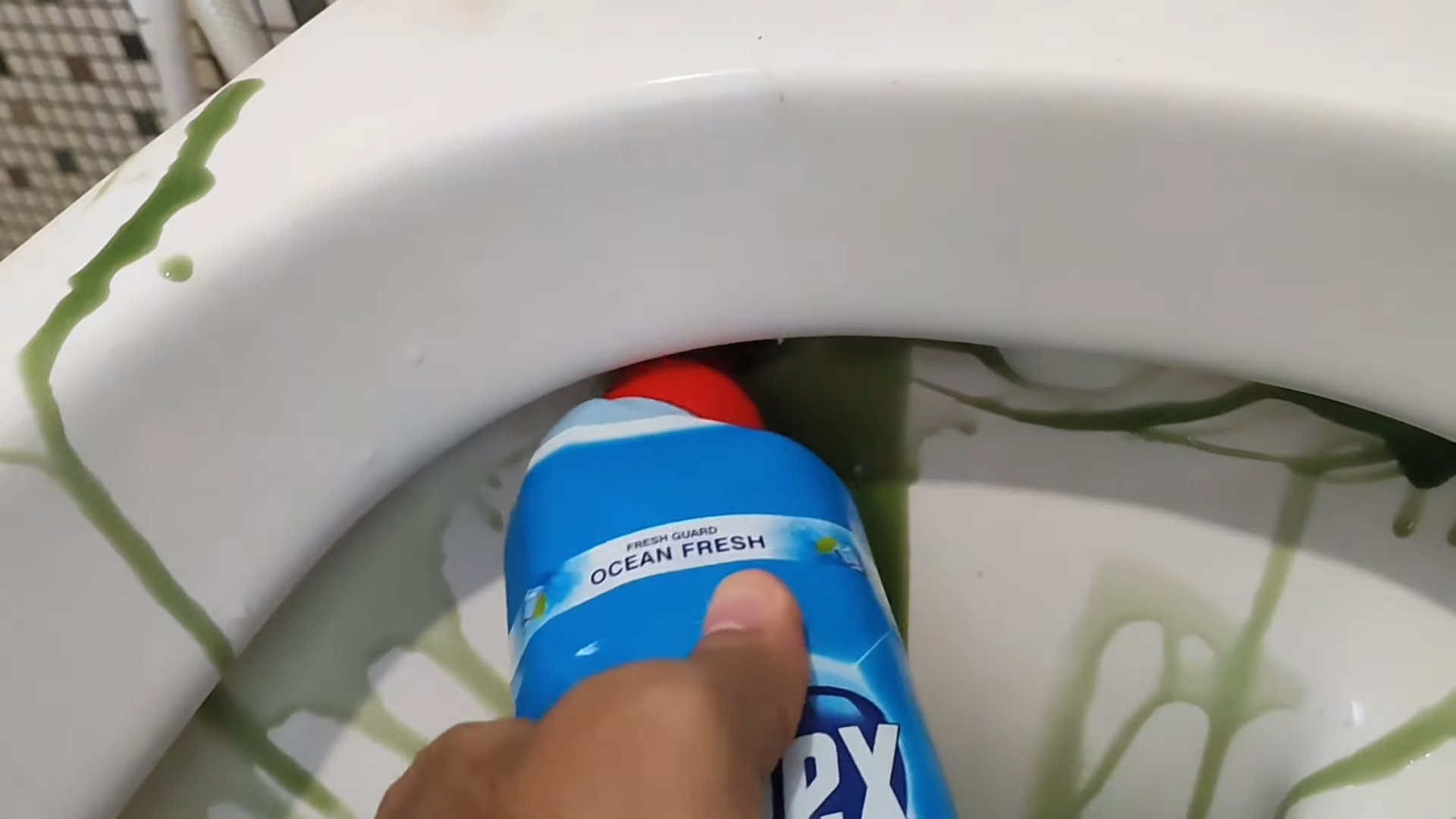 Toilettenreinigung Domex