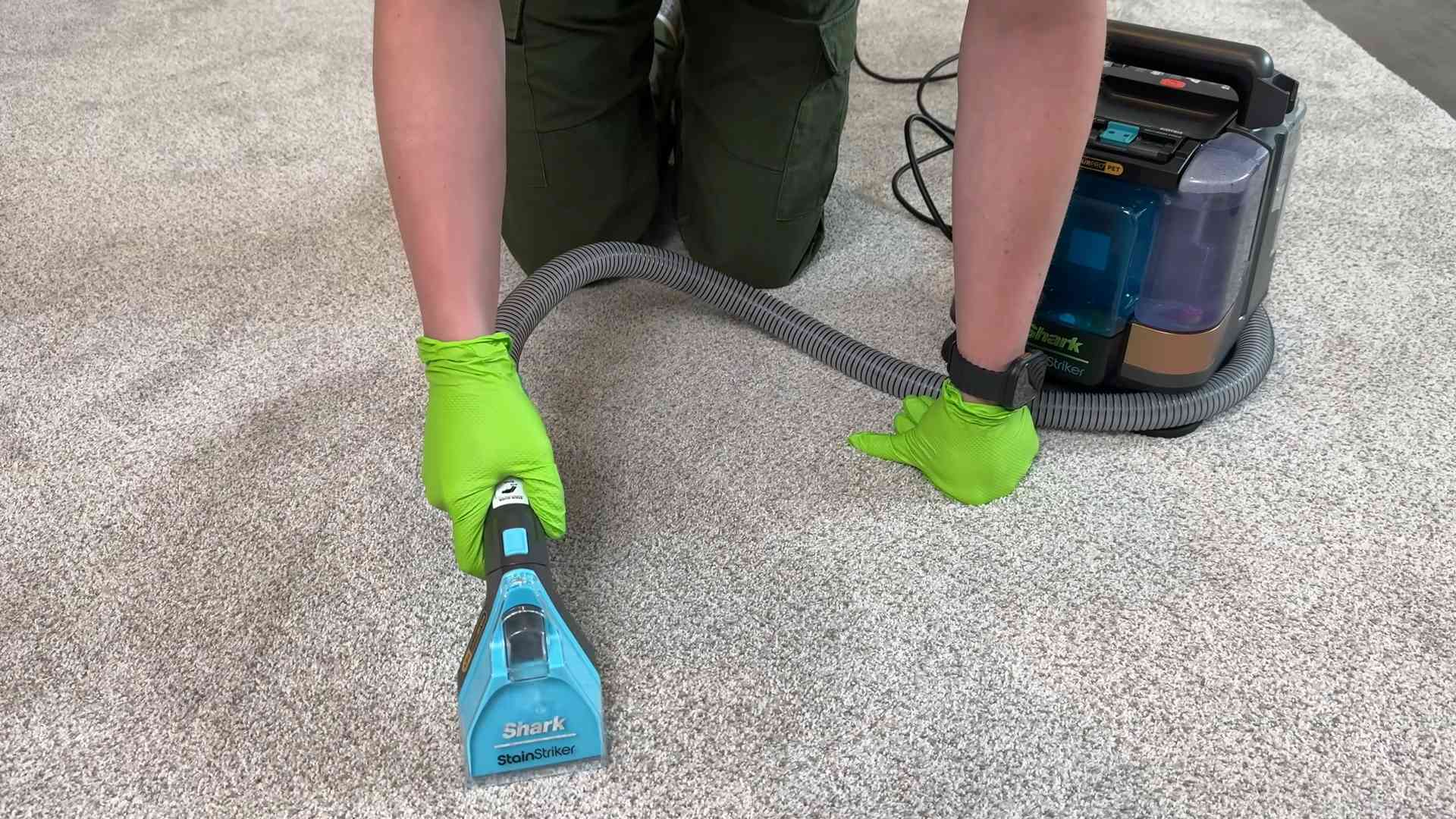 Reinigungsmittel Haushalt Haustiere